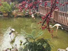 -温汤发糕(温汤店)