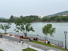 -羊山湖公园