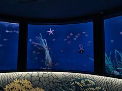 -沈阳海洋探索中心