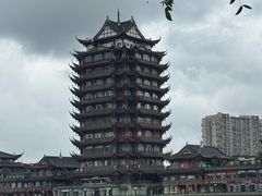 -眉山湿地公园(东坡区)