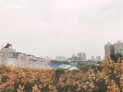 -东水关遗址公园