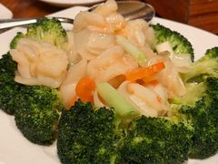 -云龙轩(迪士尼探索家度假酒店)