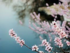 -国家植物园