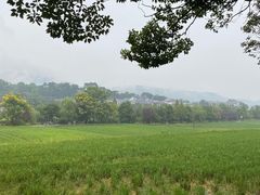 -韶山毛泽东同志故居