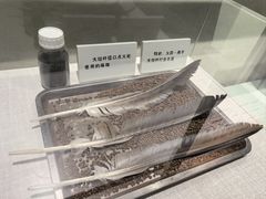 -白洋淀景区