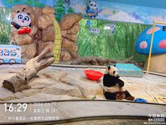 -广州长隆野生动物世界