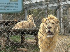 -大蜀山国家森林公园