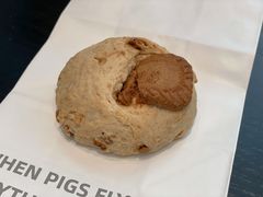 -WHEN PIGS FLY当猪飞