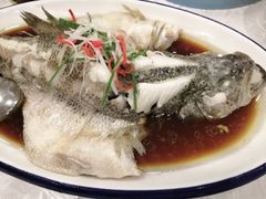 -九头鸟酒家(四道口店)