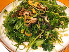 -琼菜王(南海店)
