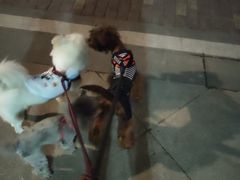 -胖哥俩肉蟹煲(福州仓山爱琴海店)