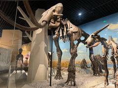 -国家自然博物馆