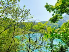 -龙坞茶村