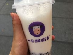 -一只酸奶牛(八一路店)