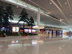 -青岛胶东国际机场