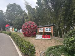 -乌石村