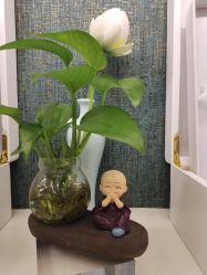 -雅曼妮spa美容养生