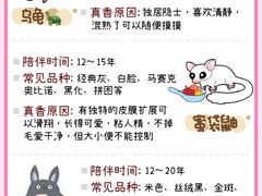 -立德动物医院·异宠·CT·鹦鹉(天河店)