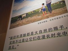 -宝珠奶酪(闵行仲盛店)