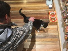 -猫的天空之城概念书店(杭州南宋御街店)