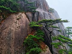 -黄山玉屏楼宾馆餐厅