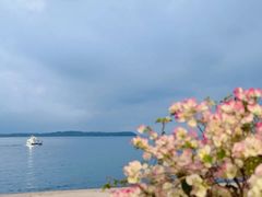 -观海轩餐厅(一线海景店)