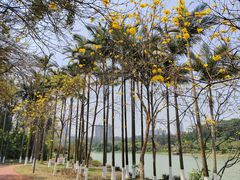 -广西壮族自治区药用植物园