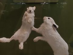 -国家自然博物馆