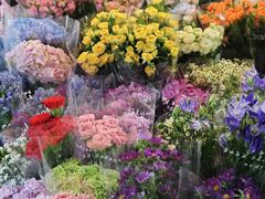 -宝鸡东道花鸟鱼虫市场(吉利花园商场店)
