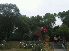 -东湖落雁景区