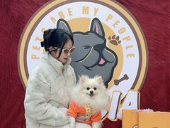 -佛山京华广场MALL