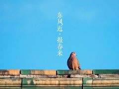 -蔡林记(丹尼斯6天地店)