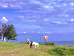 -漳州滨海火山岛自然生态风景区