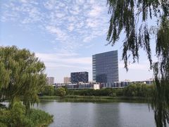 -大兴滨河森林公园