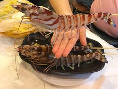 -鲜入围煮花胶鸡海鲜火锅