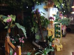 -回忆以前铁锅炖鱼村(一部六号街店)