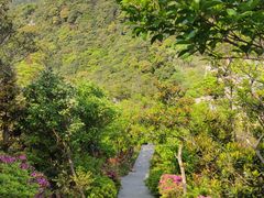 -梧桐山风景名胜区