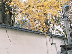 -莫干山风景区