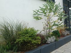 -青果巷历史文化街区