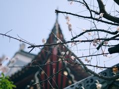 -长春观