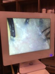 -红人馆造型世爵国际