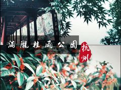 -杭州少年儿童公园