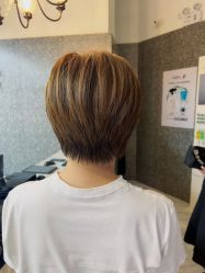 -付军剪艺