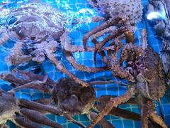 -鼓歌海鲜舫·手抓海鲜(大学城店)