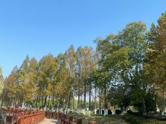 -金银湖国家城市湿地公园