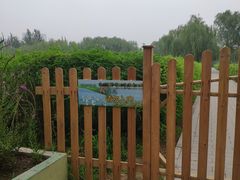 -大兴滨河森林公园