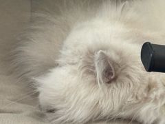 -秦韬盲人按摩院(惠新西街店)