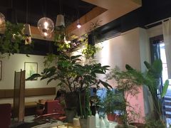 -柴务处·柴犬主题狗咖