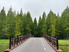 -黄海国家森林公园