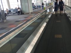 -中部国际机场